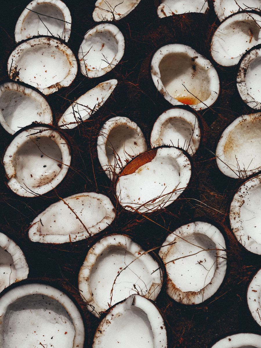 Cleaning and cutting shells