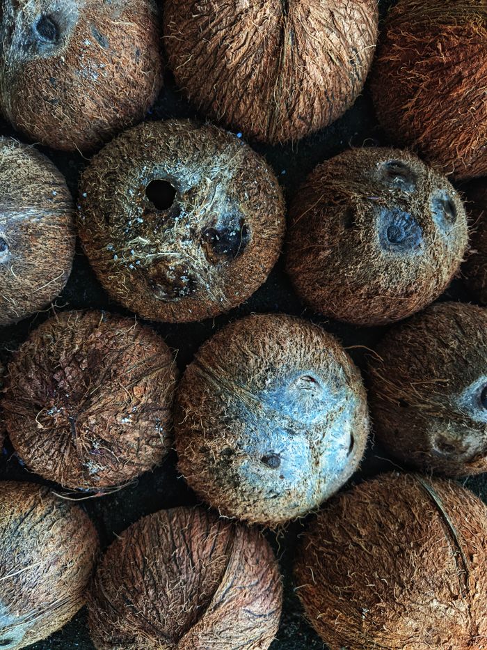 Rescued coconut shells, where it all began
